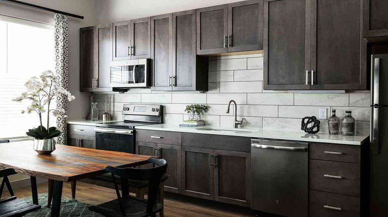 Modern Kitchen with Quartz Countertops and Custom Cabinetry